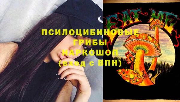 гашик Семикаракорск