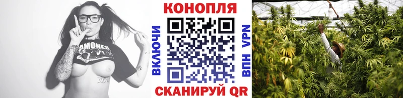 Купить закладки  Сольвычегодск  Канабис Ganja 